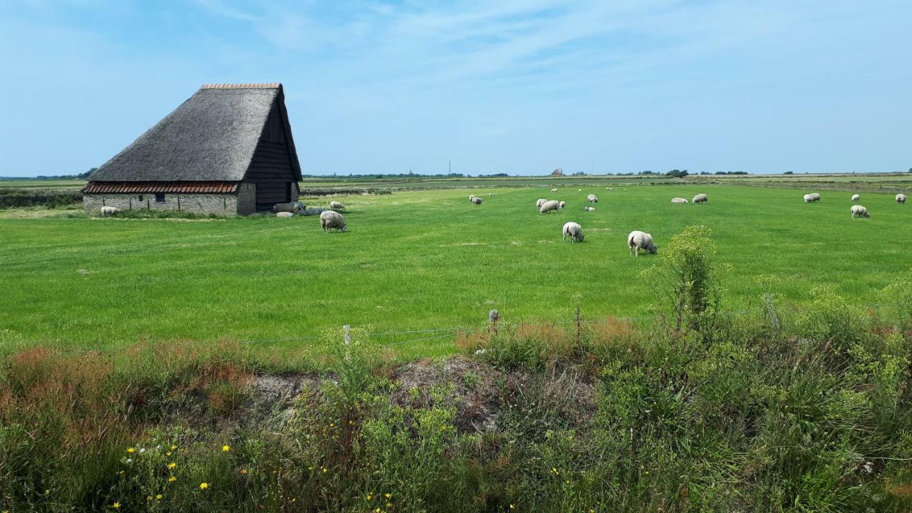 Holiday home Bungalow Groen Den Burg